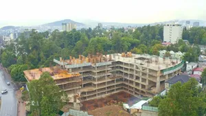 የንግድ ሱቅ (Commercial Shop)