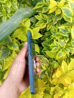 New Samsung Galaxy A06 64 GB Blue