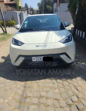 BYD Seagull 2024 White