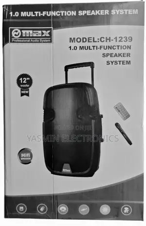 Max Speakers System 12-Woofer Delivery