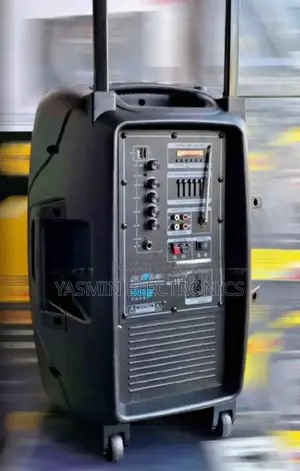 Max Speakers System 12-Woofer Delivery