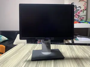 Dell P1913 Flat Panel Monitor