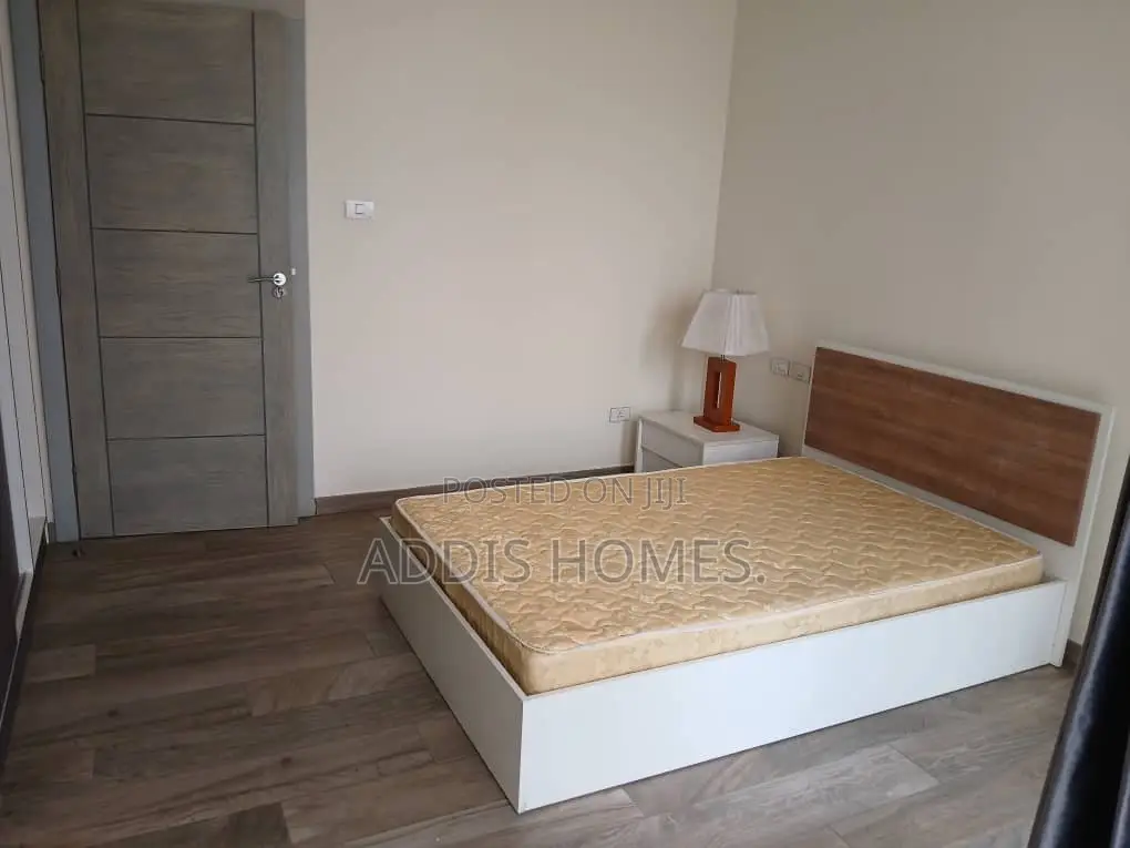 Furnished 3bdrm Apartment in Bole for rent