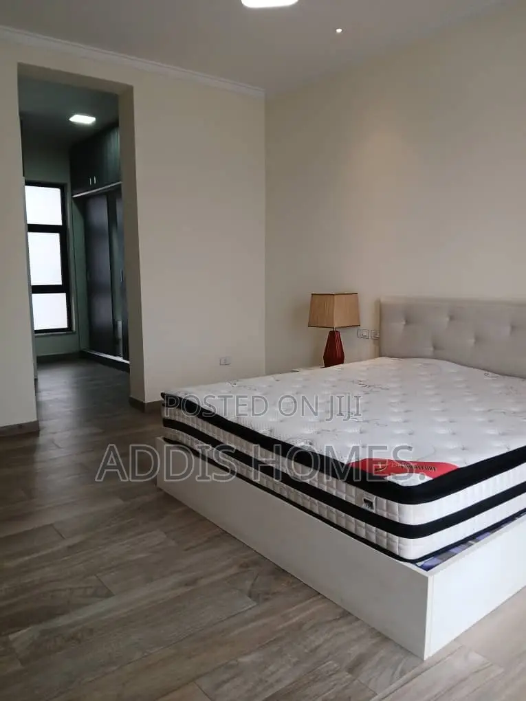 Furnished 3bdrm Apartment in Bole for rent
