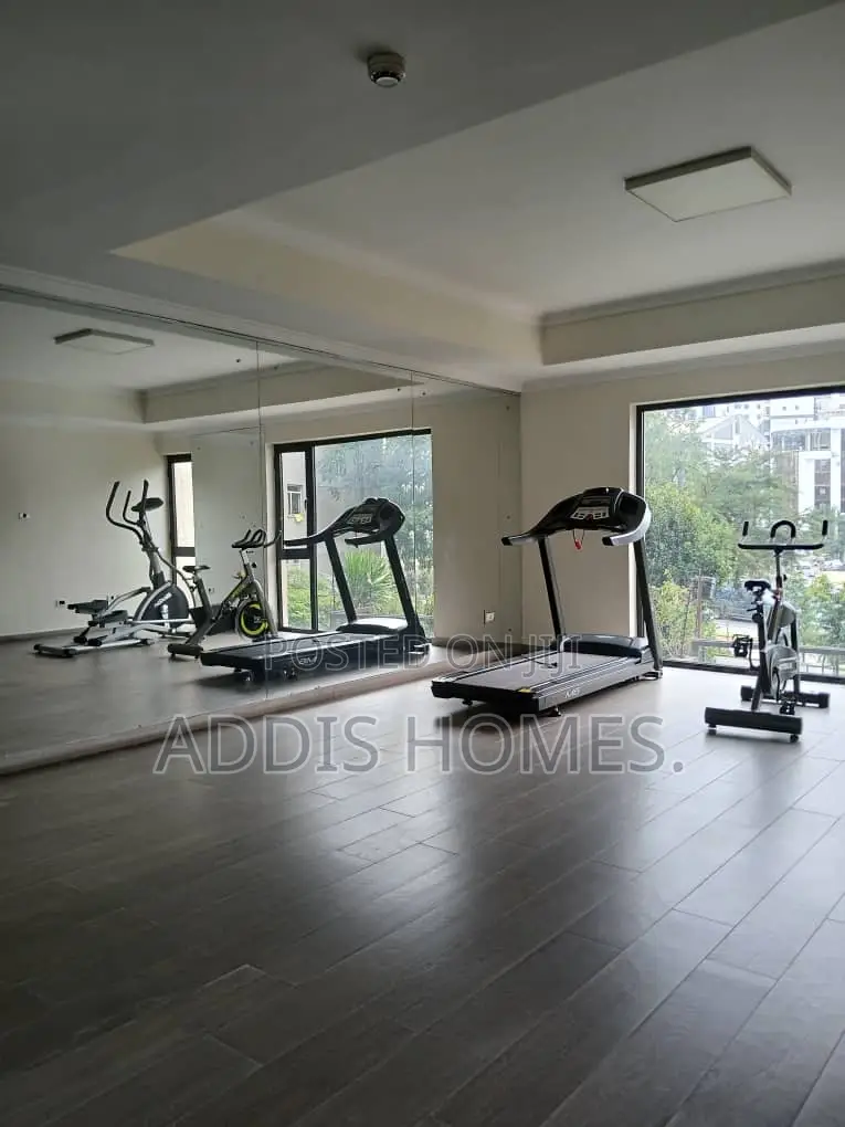 Furnished 3bdrm Apartment in Bole for rent