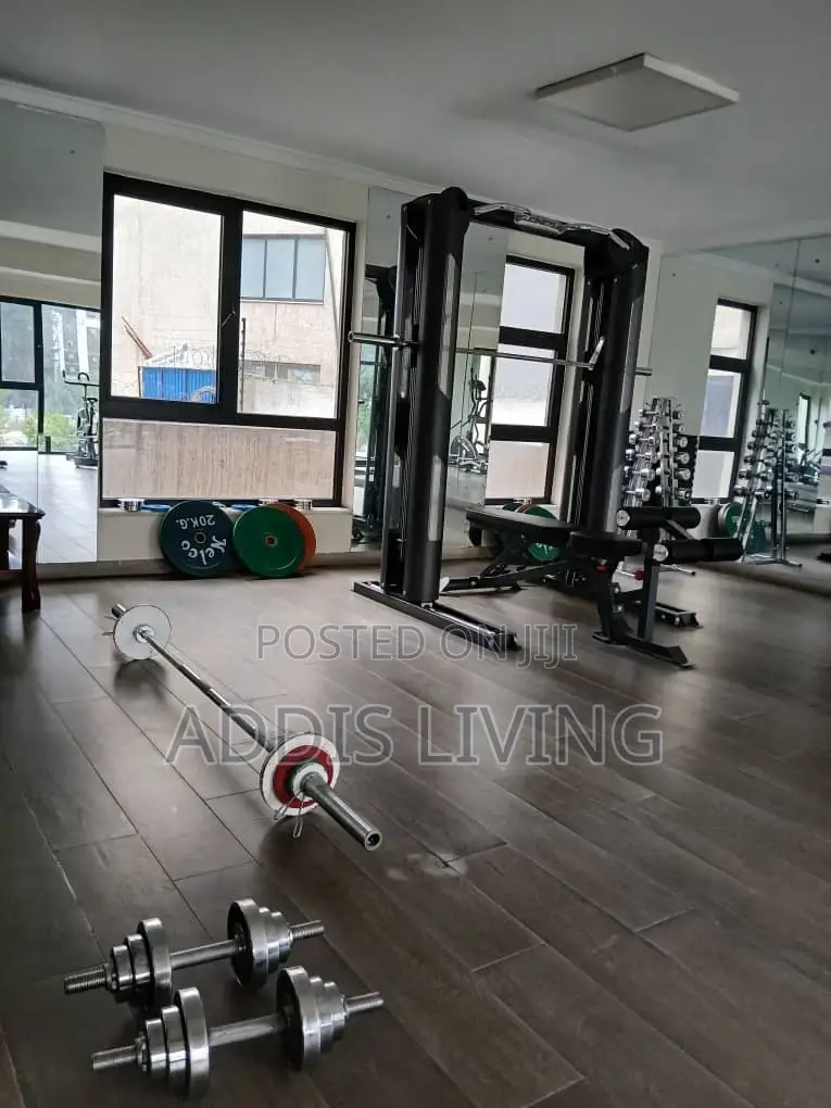 Furnished 3bdrm Apartment in Bole for rent