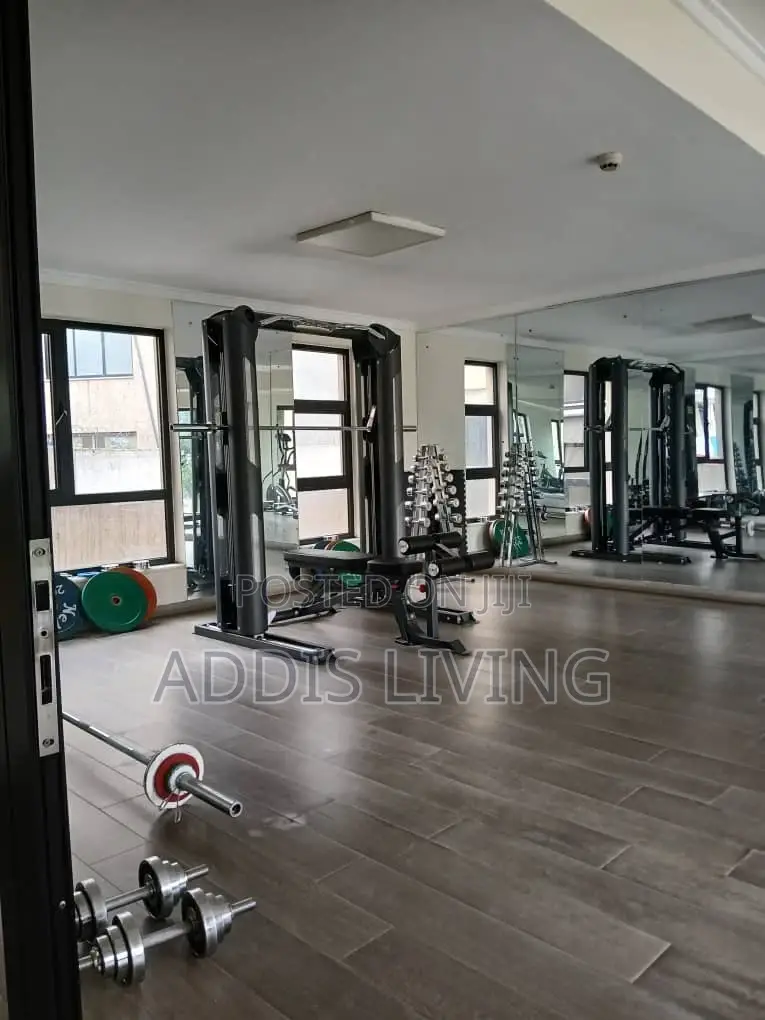 Furnished 3bdrm Apartment in Bole for rent