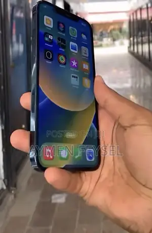 Apple iPhone 12 Pro Max 128 GB Gray