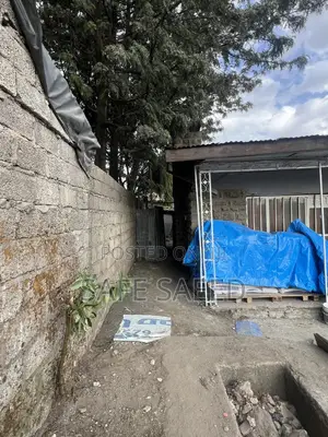 7bdrm Villa in Bole for rent