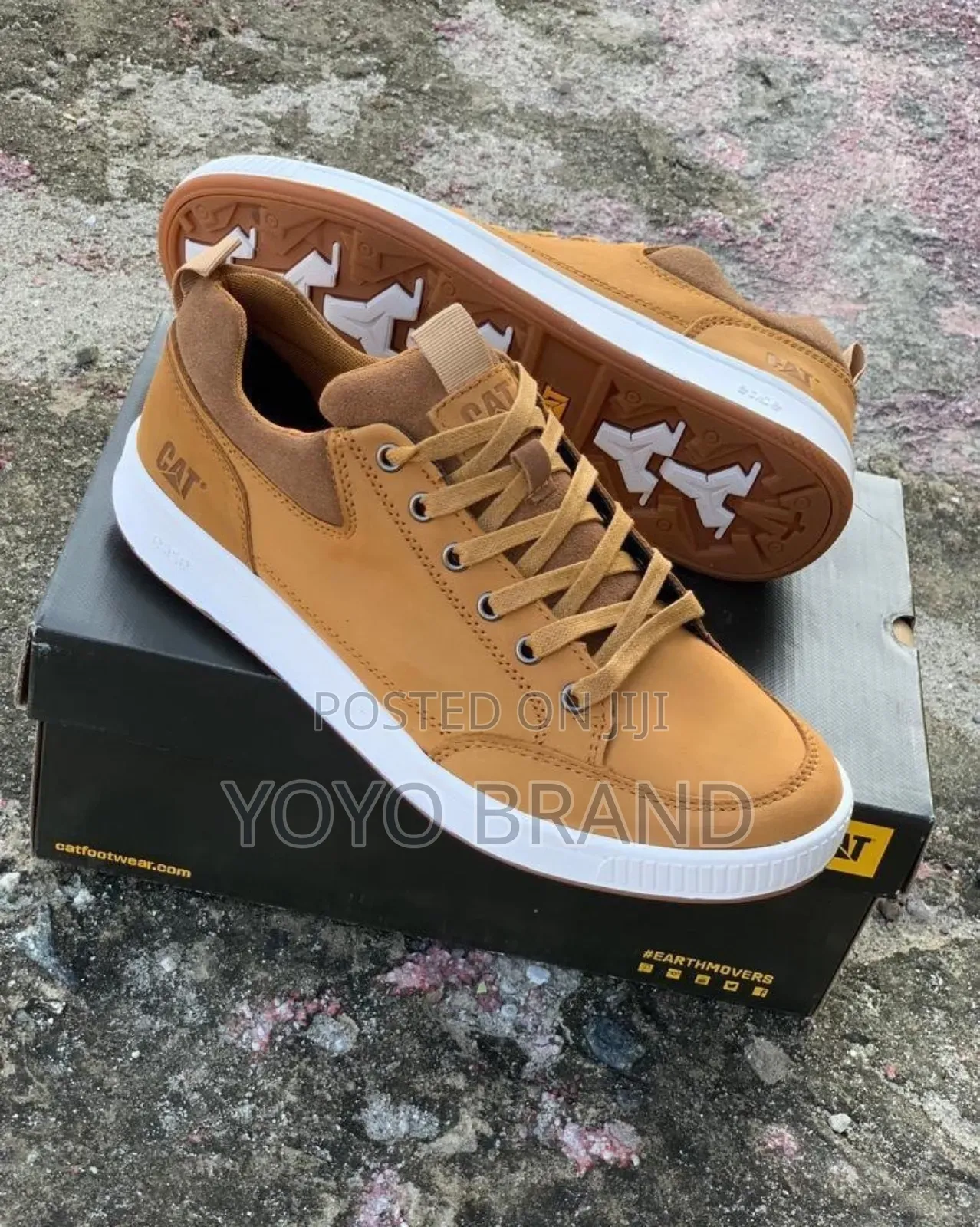 New Arrival Cat Brown Shoes