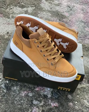 New Arrival Cat Brown Shoes