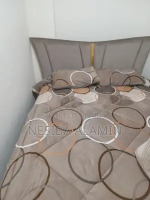 Furnished 2bdrm House in Bole for rent