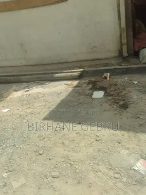 Whare House for Rent