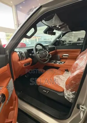 New Dongfeng Z9 2.3T Diesel 4WD 2025 Gray