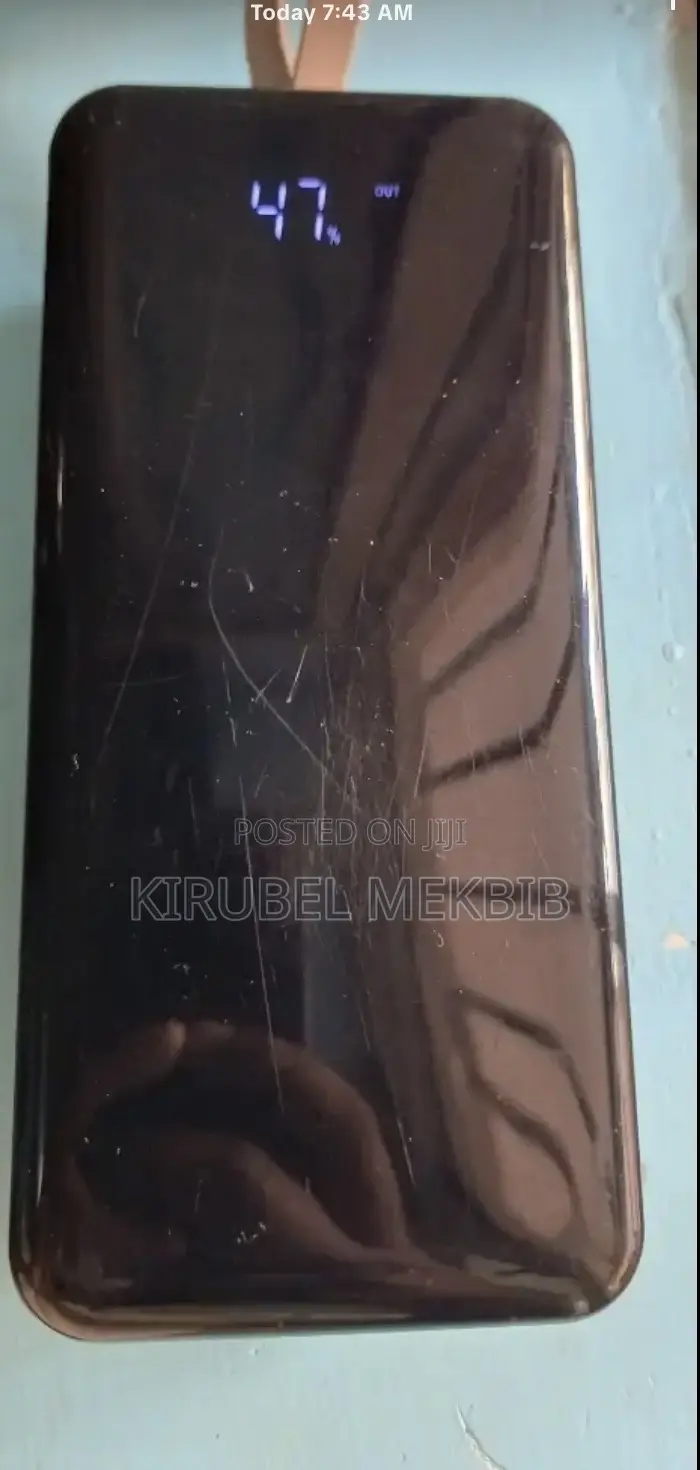 Pslexcelert Power Bank