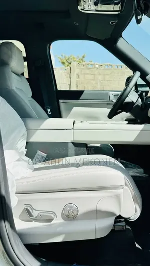 New BYD Leopard 7 2025