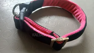 Extra Comfortable Collar