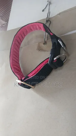 Extra Comfortable Collar