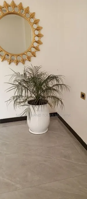 Put Followers Indoor Out Door Put