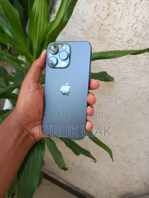 Apple iPhone 15 Pro Max 256 GB Black