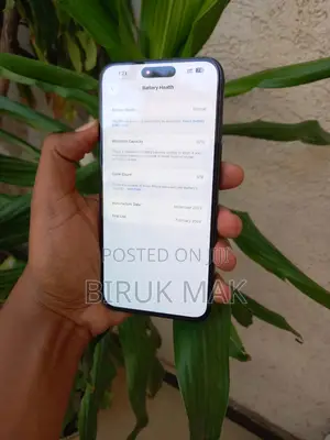 Apple iPhone 15 Pro Max 256 GB Black