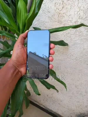 Apple iPhone 15 Pro Max 256 GB Black