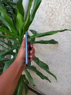 Apple iPhone 15 Pro Max 256 GB Black