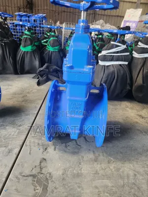 Flanged Gete Valve250