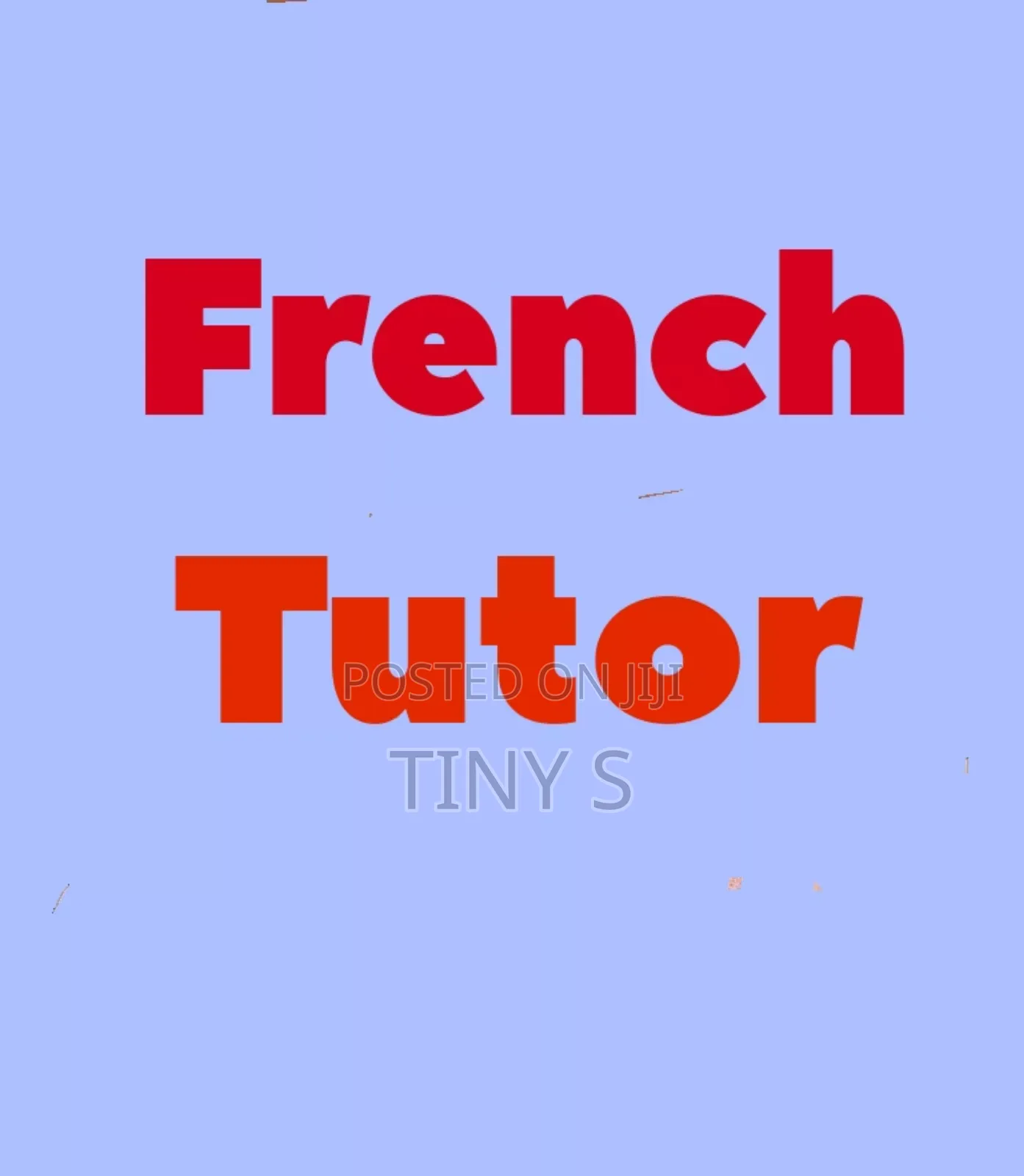 French and English Tutor