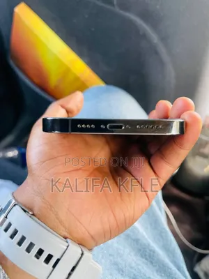 Apple iPhone 13 Pro Max 256 GB