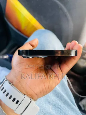 Apple iPhone 13 Pro Max 256 GB