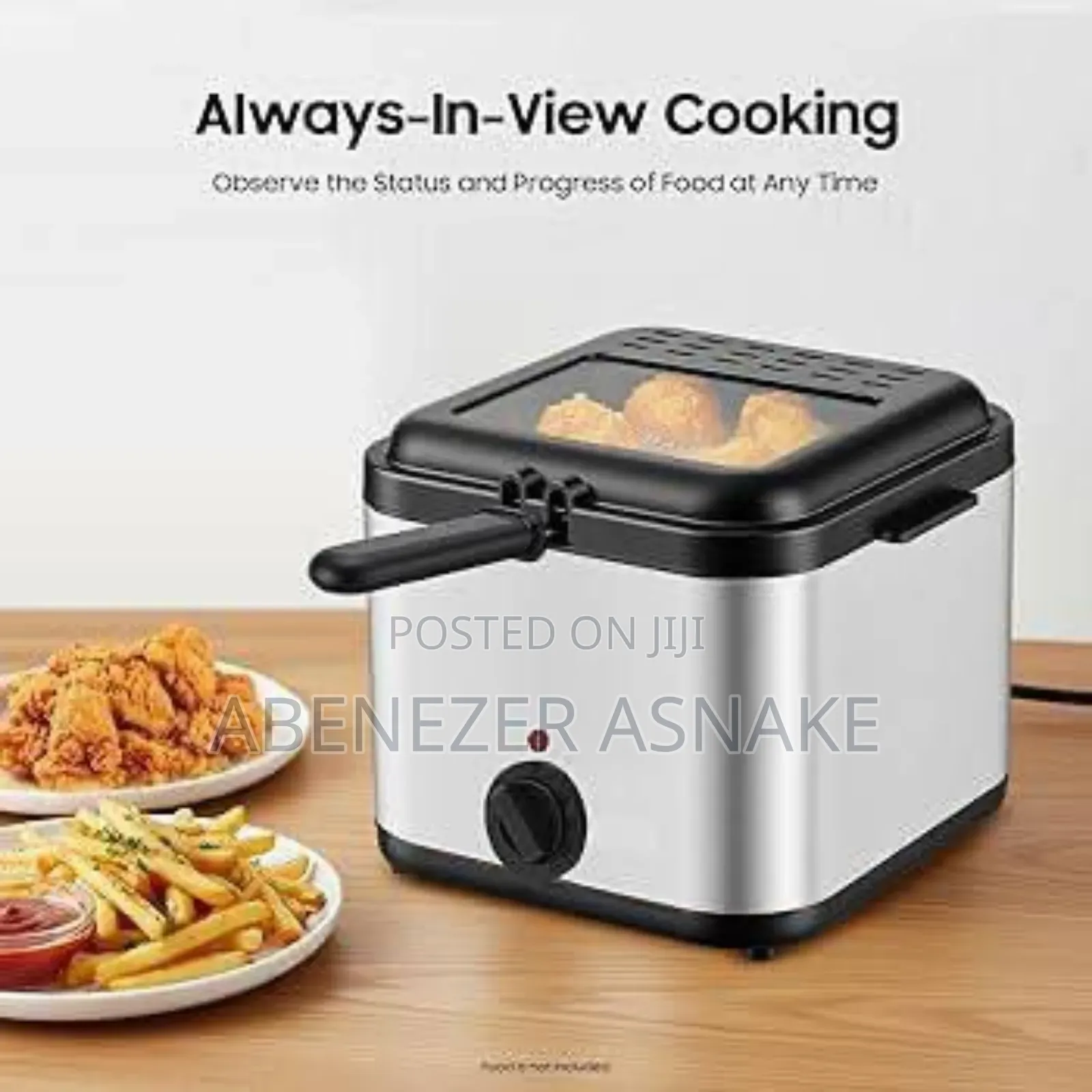 Electric Fryer