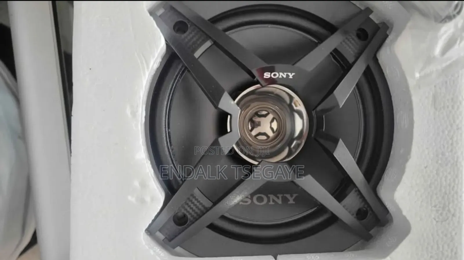 Sony Dual Cone Speaker