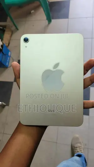 Apple iPad mini 6 256 GB Gray