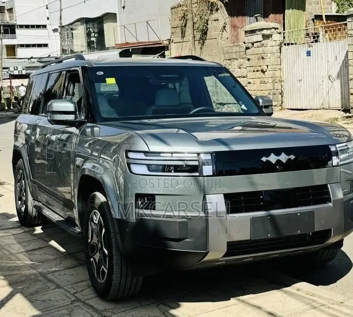 New BYD Leopard 7 2025 Green