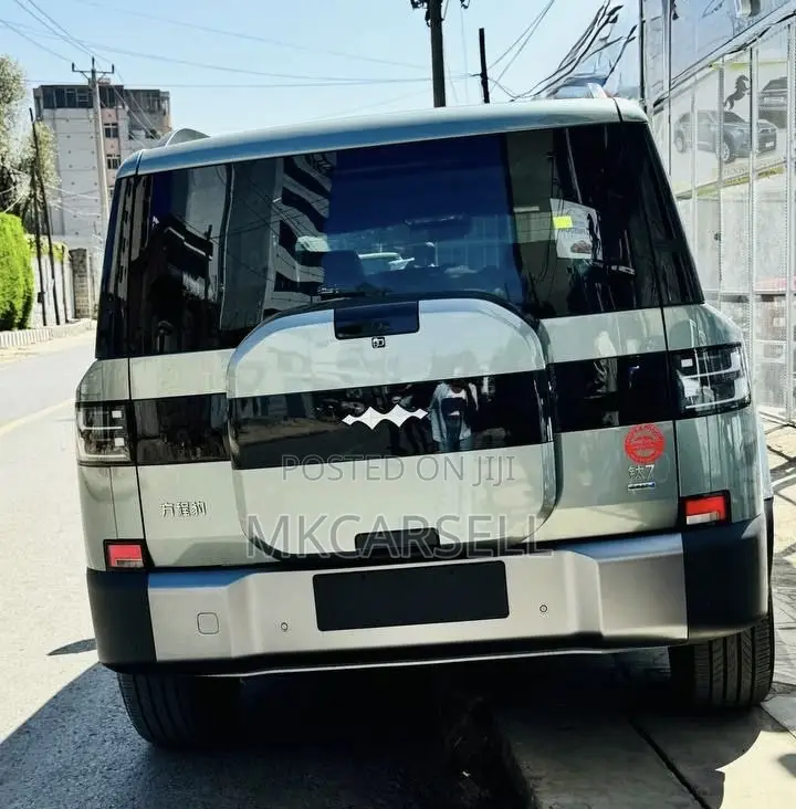 New BYD Leopard 7 2025 Green