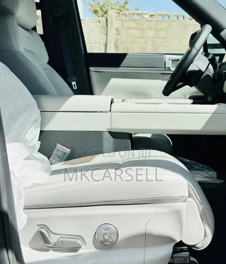 New BYD Leopard 7 2025 Green