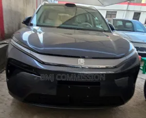 New BYD Tang EV 2025 Gray