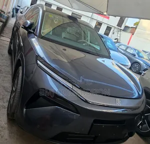 New BYD Tang EV 2025 Gray