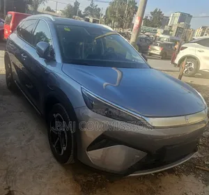 New BYD Yuan Plus 2025 Gray