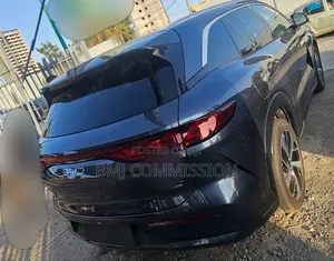 New BYD Tang EV 2025 Gray