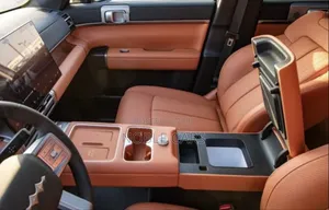 New BYD Leopard 7 2025 Green