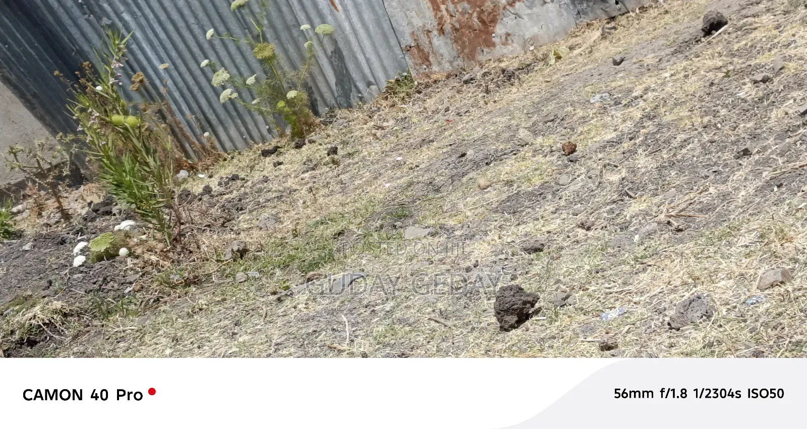 453 ካሬ በቃሊቲ