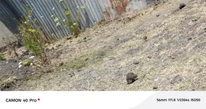 453 ካሬ በቃሊቲ