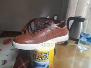 Cole Haan Shoe Laxuary