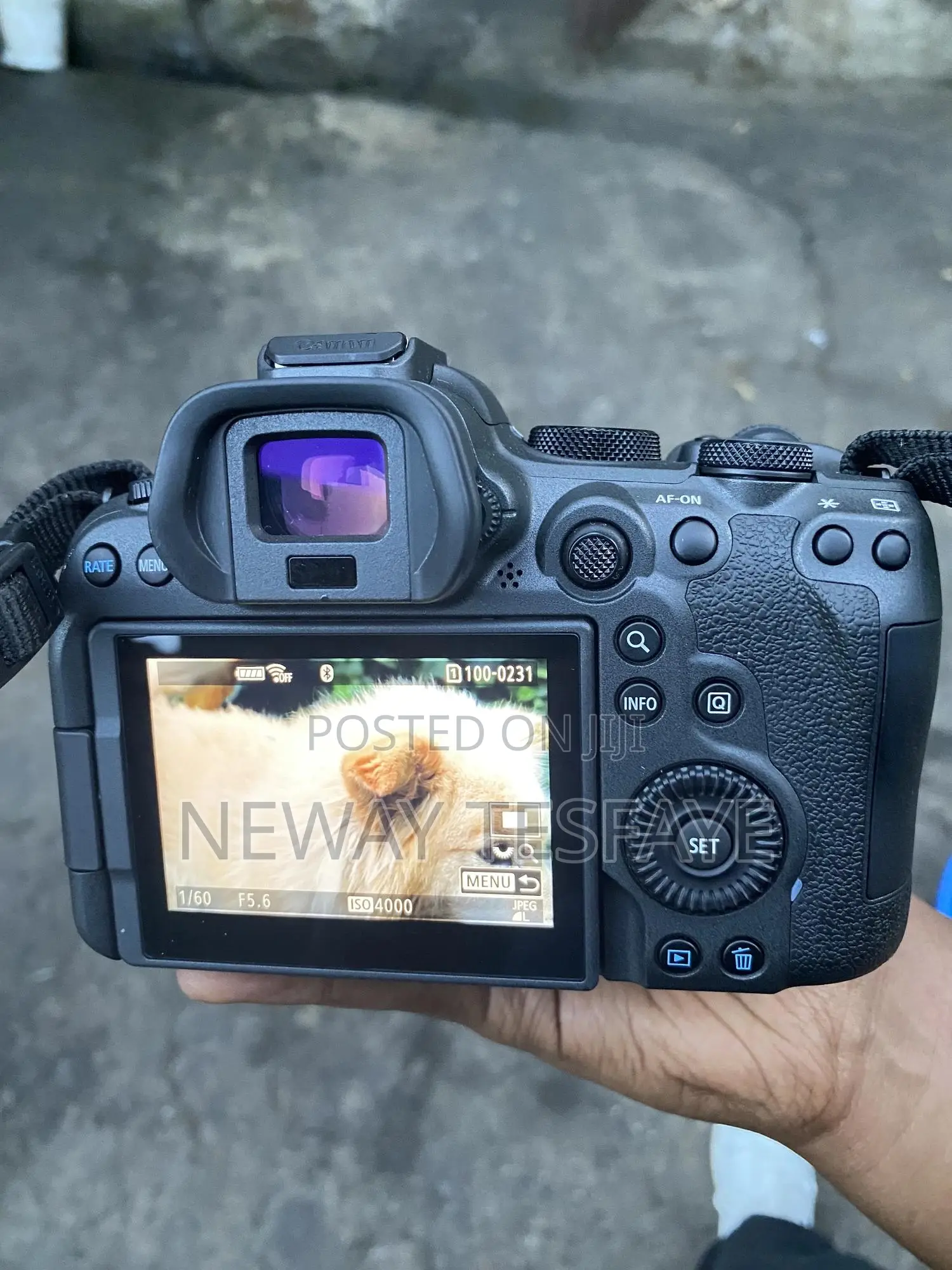 Canon Eos R6 Mark 2 Mirror Less Camera