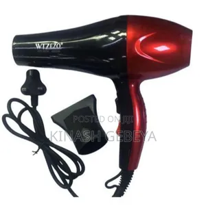 Wtzezzo High Quality Hair Dryer