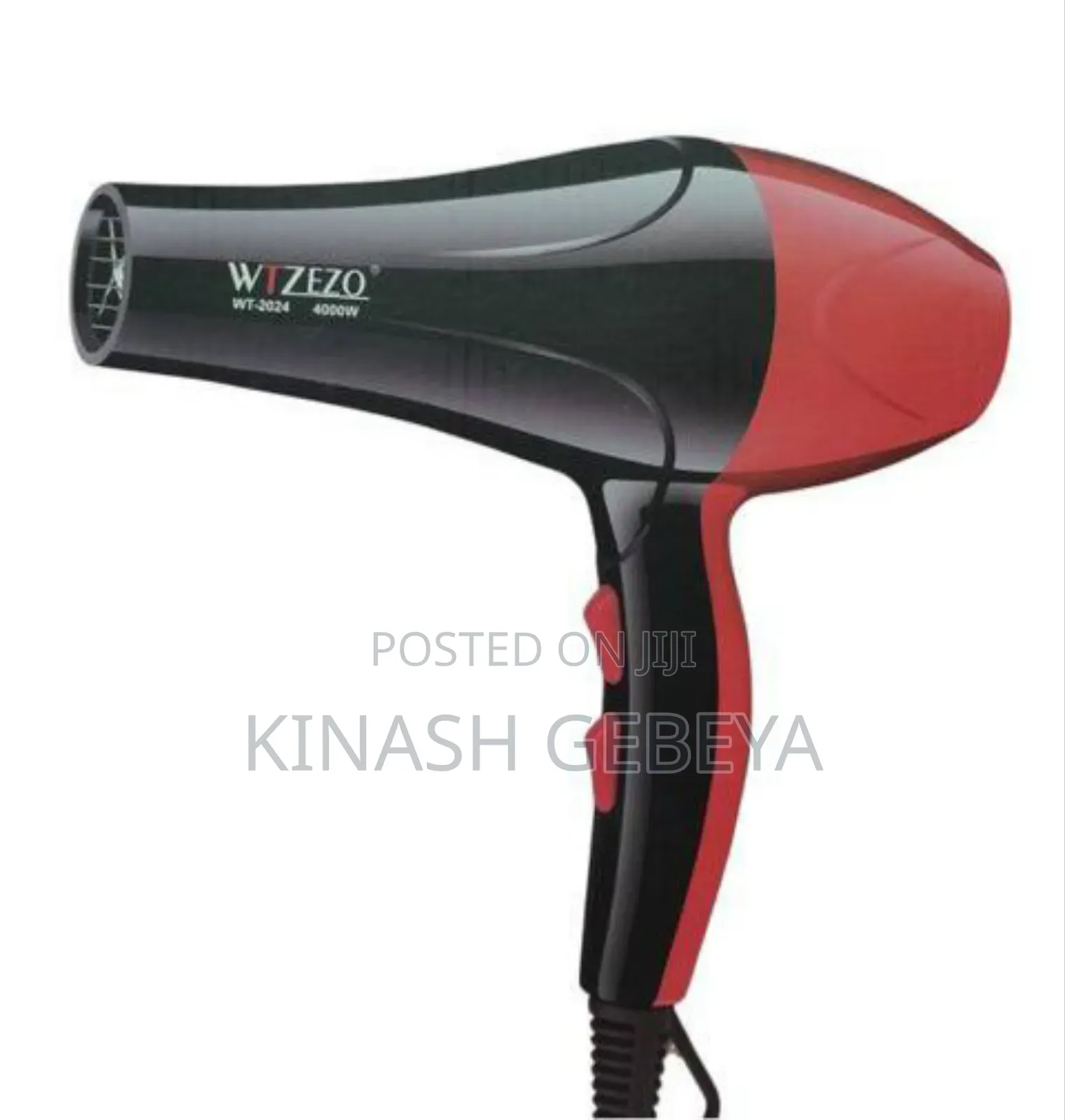 Wtzezzo High Quality Hair Dryer