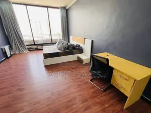 Furnished 2bdrm Penthouse in Bole for rent