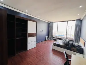 Furnished 2bdrm Penthouse in Bole for rent